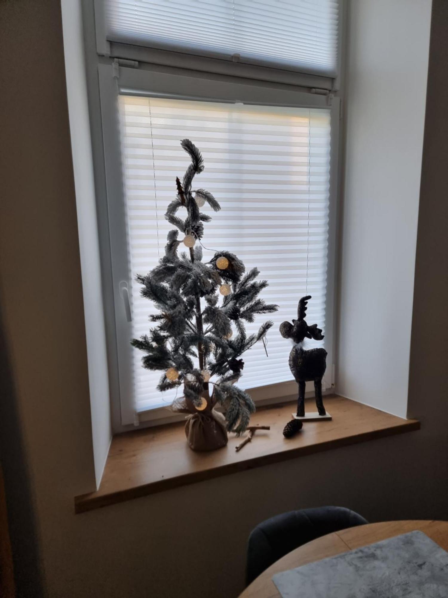 Apartament Lux Lemon Jelenia Góra Buitenkant foto