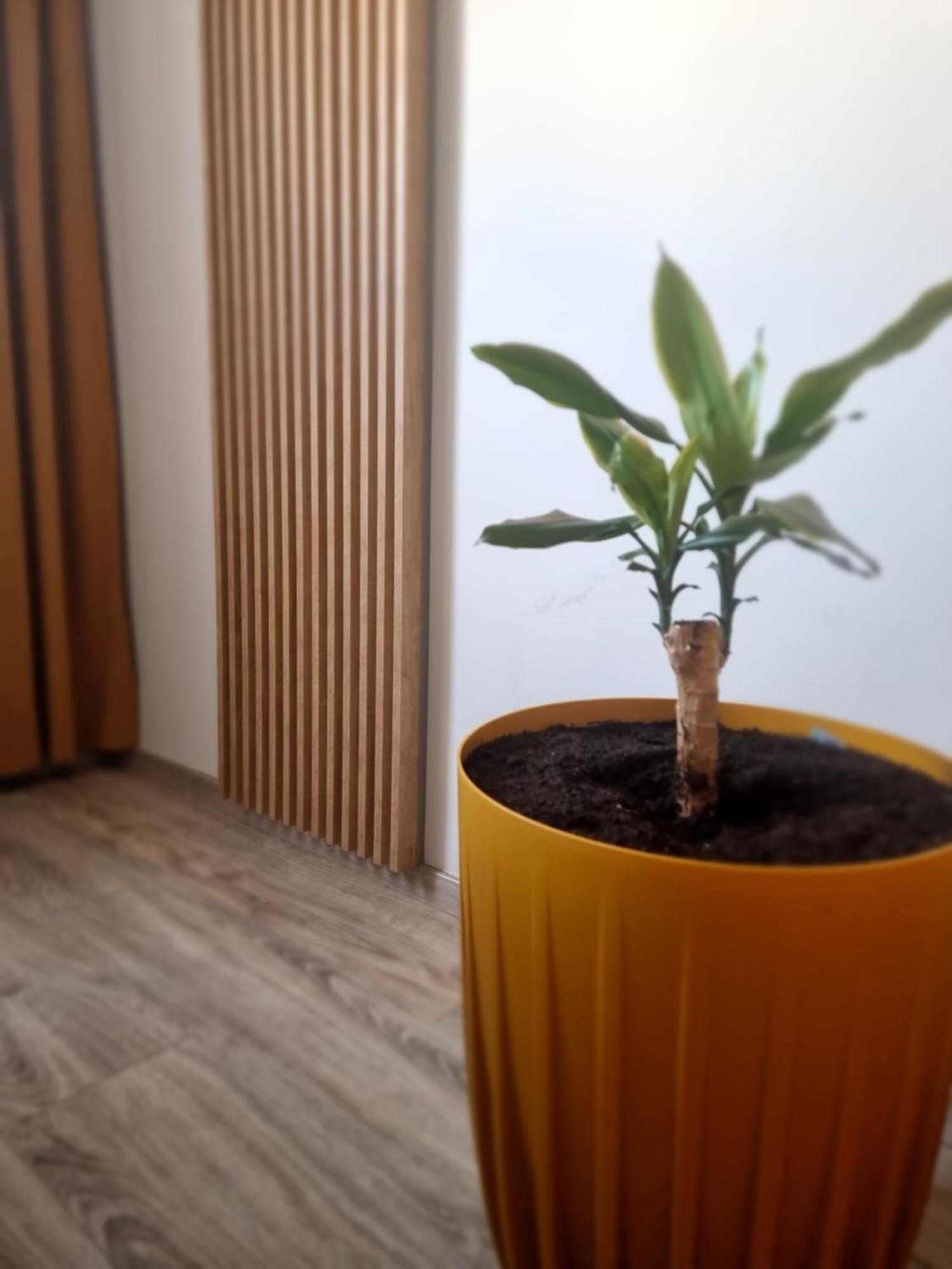 Apartament Lux Lemon Jelenia Góra Buitenkant foto